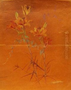 Lillies Lillies