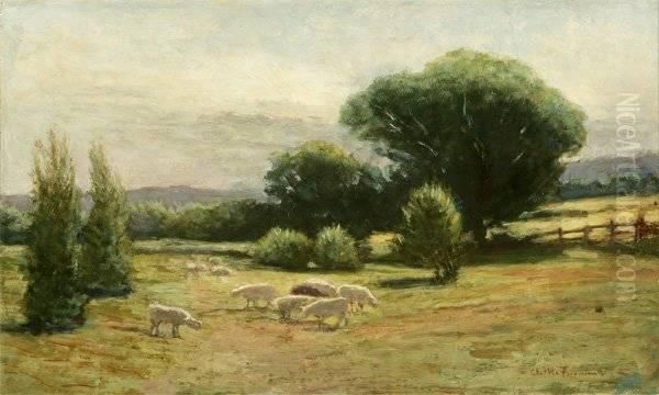 Sheep In A Summer Landscape - view 1