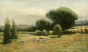 Sheep In A Summer Landscape by Ammi Merchant Farnham
