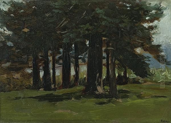 Stand Of Trees - view 1