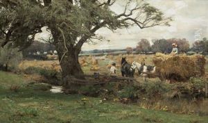 Harvesting Near Dumfries