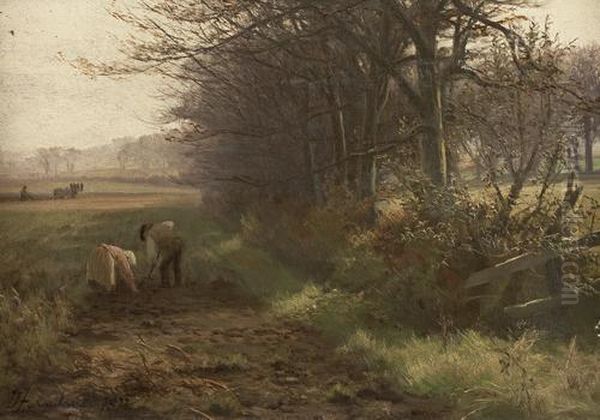 Fields In October - view 1