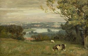 A View Over The Tay