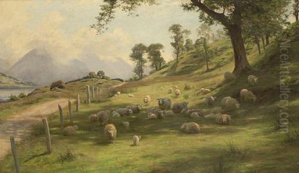 Summer In The Highlands - view 1