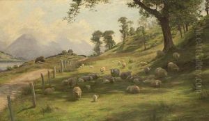 Summer In The Highlands