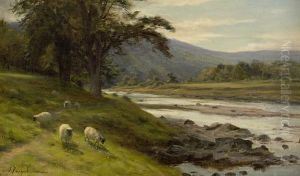 A Highland Stream