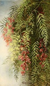 Pepper Tree Still Life by Ellen Frances Farr