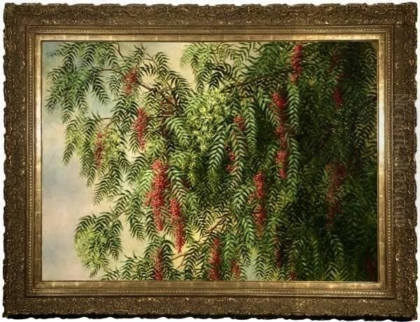 A Blossoming Pepper Tree - view 1