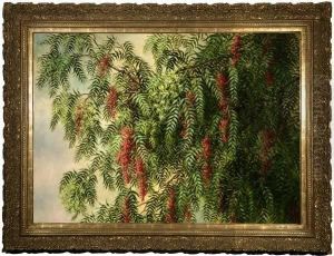 A Blossoming Pepper Tree by Ellen Frances Farr