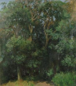 Trees In Summer by Charles Brooke Farrar