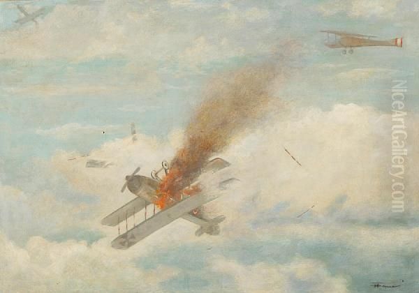 Downed Fokker - view 1