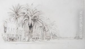 View Incannes by Frederick Arthur Farrell