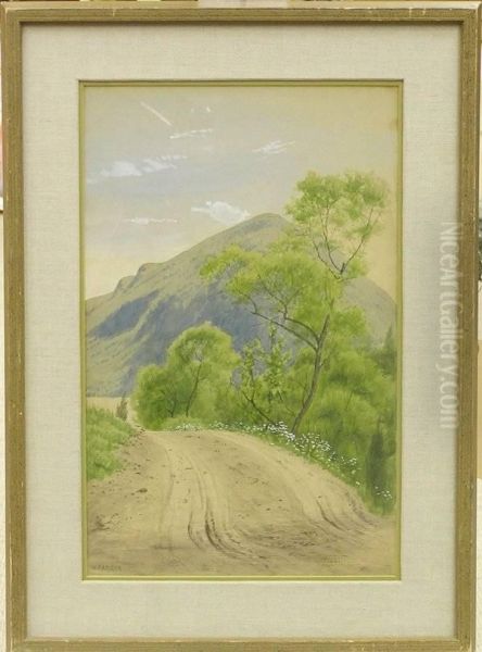 Untitled - view 1