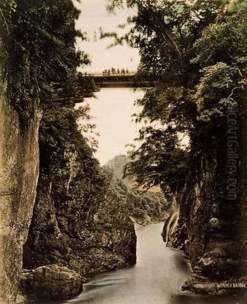 Giappone. Sarubashi Monkey Bridge. - view 1