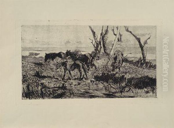 Pascolo Di Cavalli - view 1