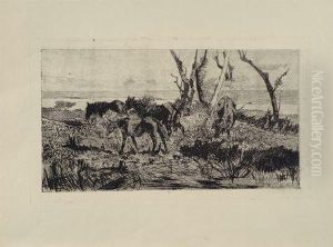 Pascolo Di Cavalli