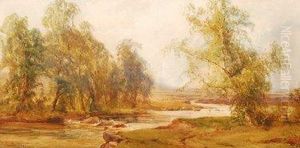 River Landscapes River Landscapes