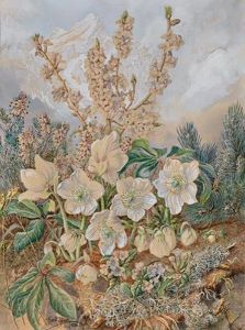 Alpenblumen by Carl Faust