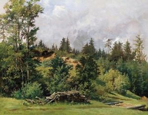 Paesaggio Montano Con Bosco by Luitpold Faustner