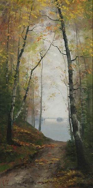 Jarvimaisema - view 1