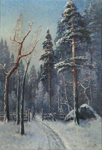 Hiihtaja Talvisella Metsapolulla