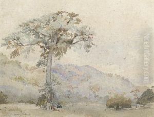 'silk Cotton Tree, Mahogany Hall Plantation' by Lionel Grimston Fawkes