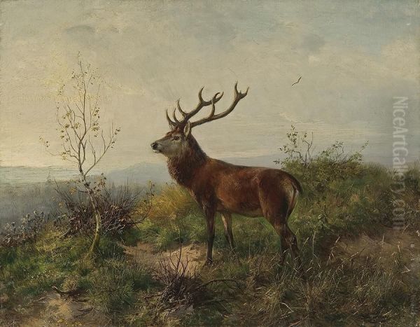 Fawn - view 1