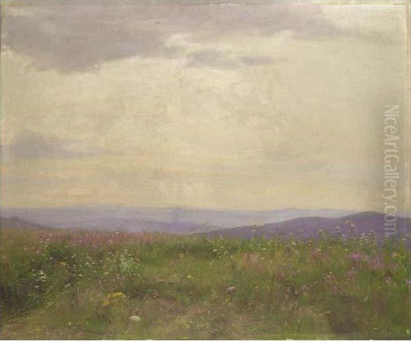 Field Of Flowers - view 1