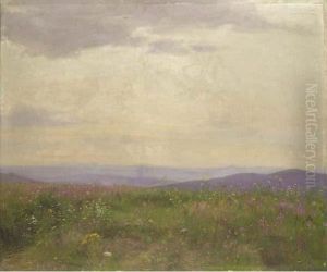 Field Of Flowers by Emerich Fechter