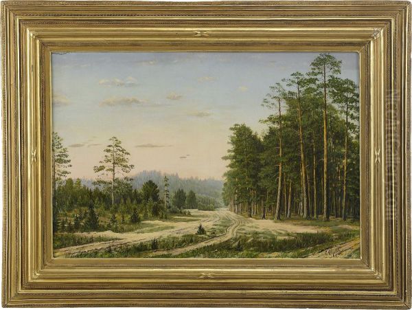 Forest - view 1