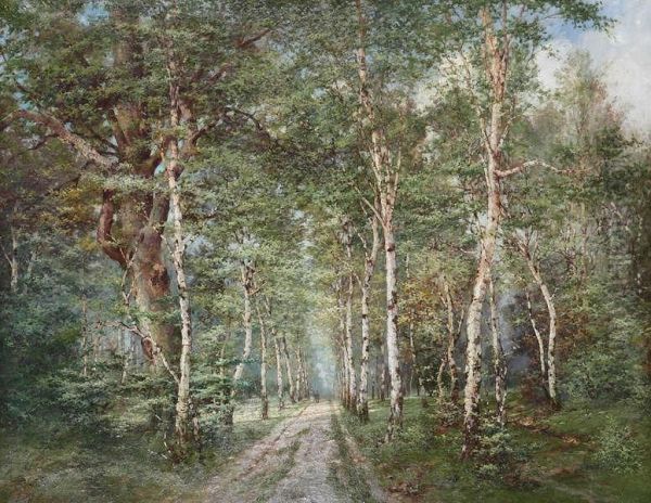 'birken-allee' - view 1