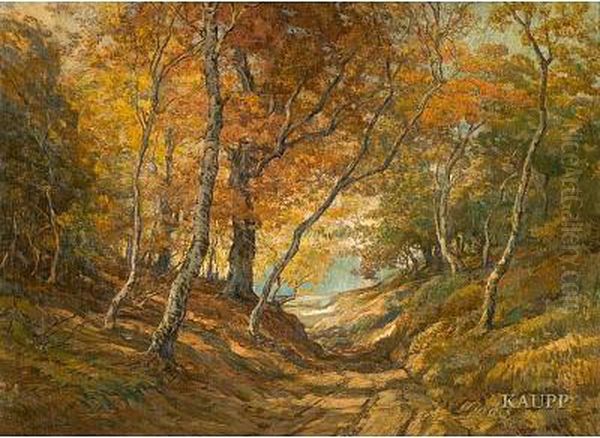 Sandiger Waldweg, Flankiert Von Schlanken, Herbstlichgefarbten Baumen - view 1