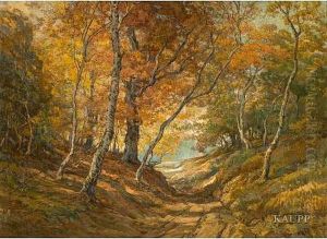Sandiger Waldweg, Flankiert Von Schlanken, Herbstlichgefarbten Baumen