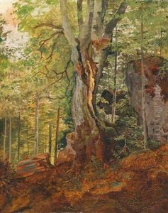 Waldstudie, Ruckseitig Alt Bezeichnet by Josef Feid
