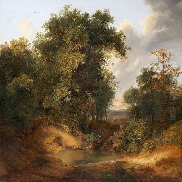 At A Small Pond In A Forest - view 1