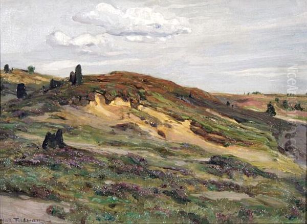 Sommerliche Heidelandschaft - view 1