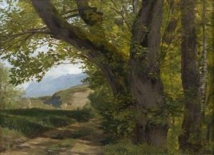 Lisiere De Bois, Une Vue Presumee Du Revard En Arriere-plan Lisiere De Bois, Une Vue Presumee Du Revard En Arriere-plan