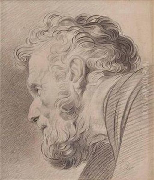 Kopfstudie Eines Bartigen Mannes - view 1