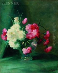 Carnations