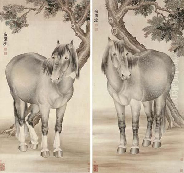 Stallions - view 1