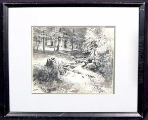A Forest Stream