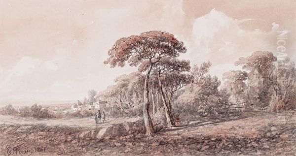 Paisaje - view 1
