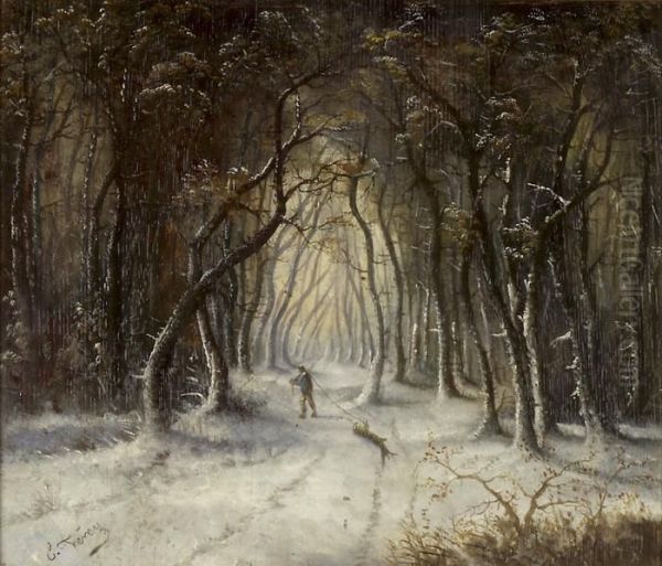 Winterlicher Waldweg Mit Holzfaller - view 1
