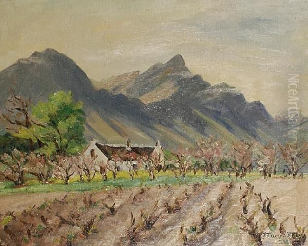 Witleg Farm, Tulback - view 1