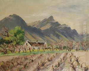 Witleg Farm, Tulback by Emily Fern