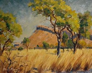 Bushveld