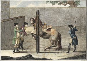 Arte Equestre