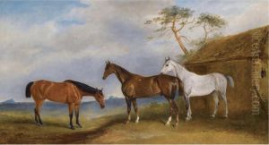 Vixen, Crown Prince And Cygnet thumbnail