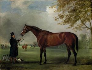 Melbourne, Held By A Trainer, In A Landscape