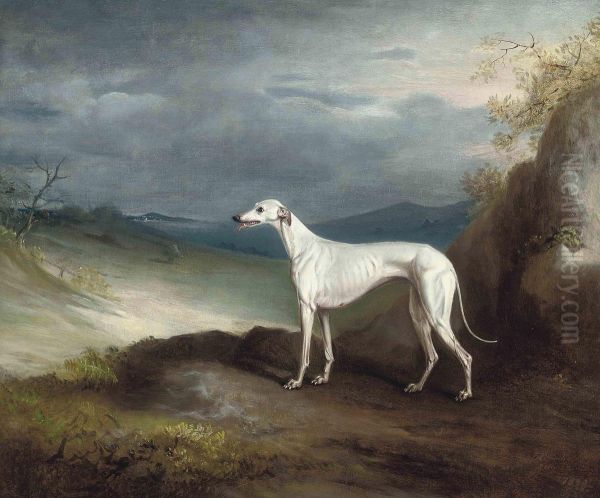 Snowstorm, A Greyhound, In An Extensive Landscape - view 1